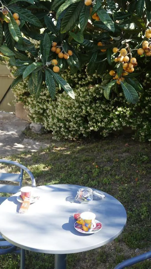 Grand studio La Roquette-sur-Siagne Appartamento